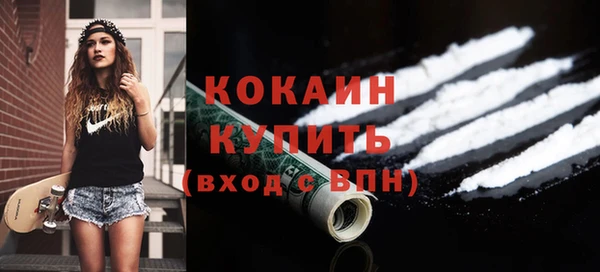 индика Вязьма