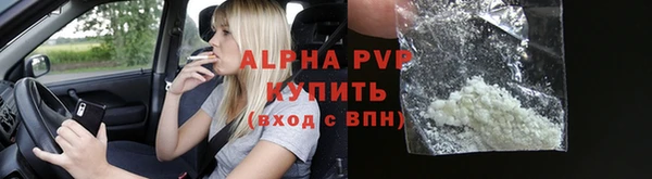 индика Вязьма