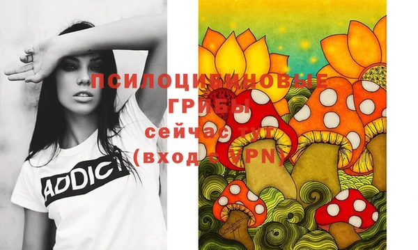 индика Вязьма