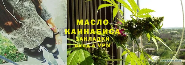 индика Вязьма