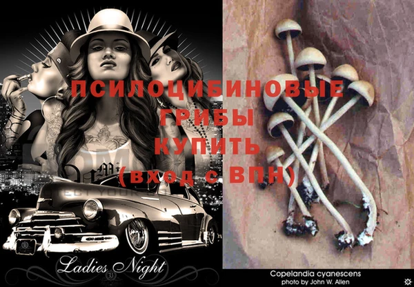 каннабис Вязники