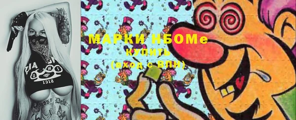 индика Вязьма