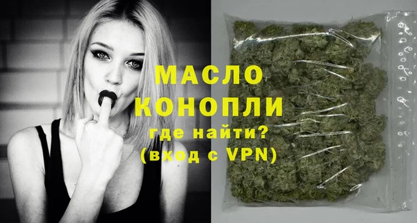 индика Вязьма