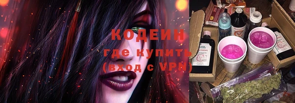 индика Вязьма