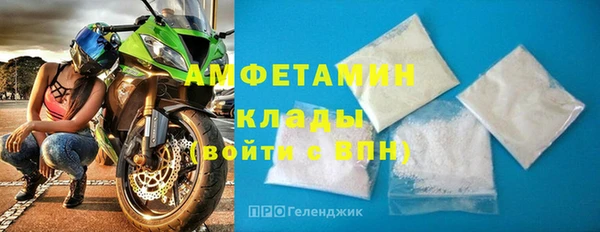 индика Вязьма