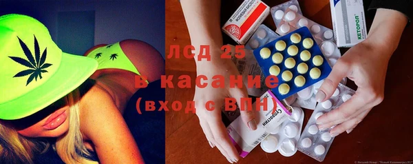 индика Вязьма