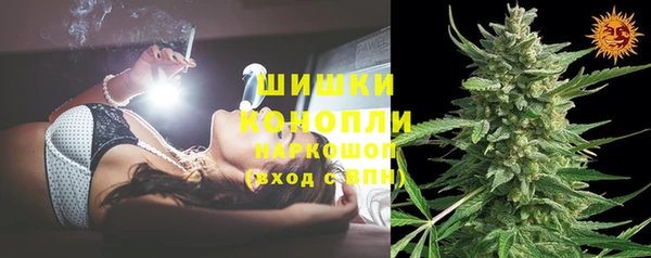 индика Вязьма