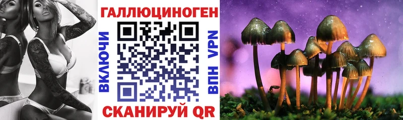 Галлюциногенные грибы Psilocybe  Купить  Миллерово 